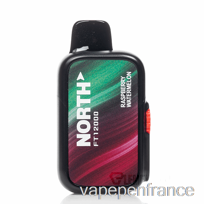 North Ft12000 Stylo Vape Jetable Framboise Pastèque